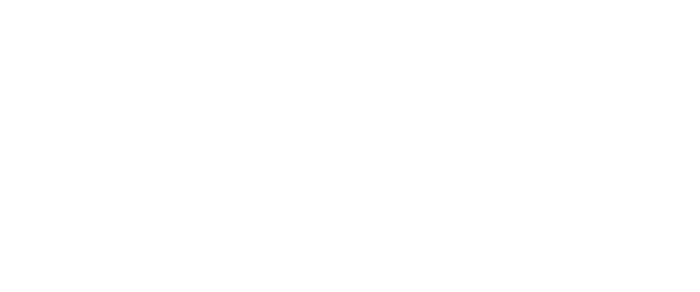 BSPORT logo